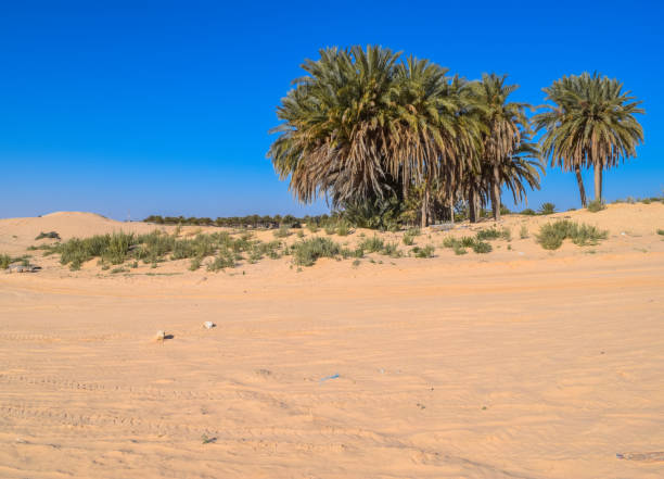 istock Road across Sahara desert 657371816
