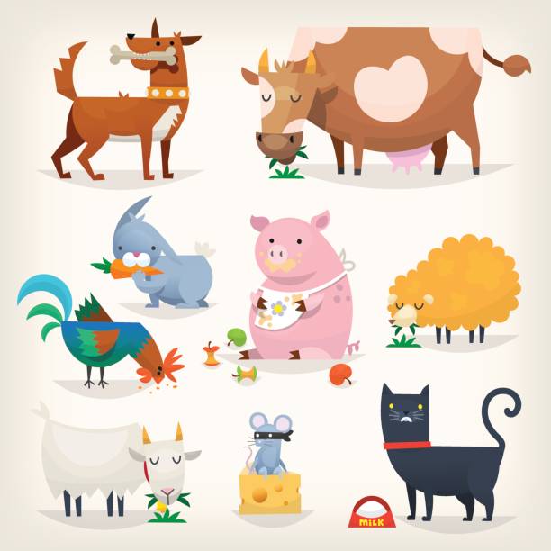 ptaki gospodarskie i zwierzęta - farm animal cartoon cow stock illustrations