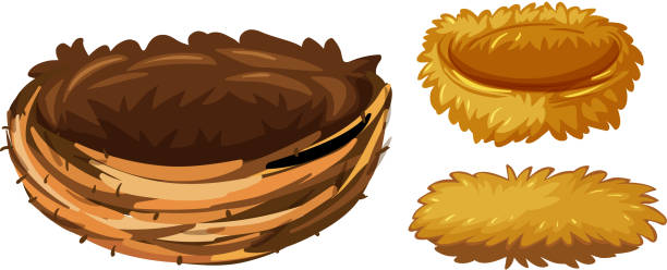 Empty Nester Graphics Empty Nest Clipart Black And White School
