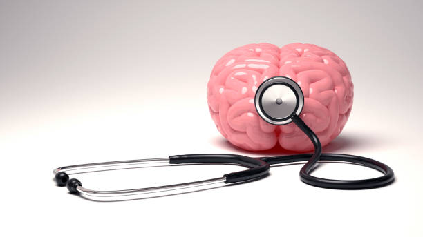 istock Human brain and stethoscope, isolated on white background. 657388960