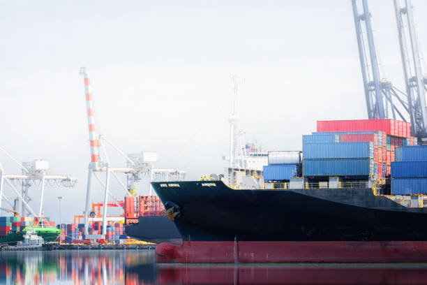 istock Logistics and transportation of International Container Cargo ship in a harbor with water reflections for logistic import export background and transport industry. 657389516