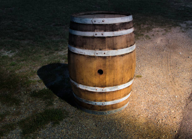 tonneau en bois dans la nature - oak barrel photos et images de collection