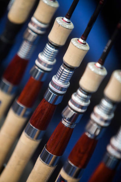 istock Many fishing rods 657393100
