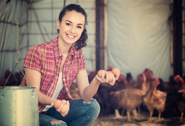 istock Female farmer picking fresh eggs in coop 657395782