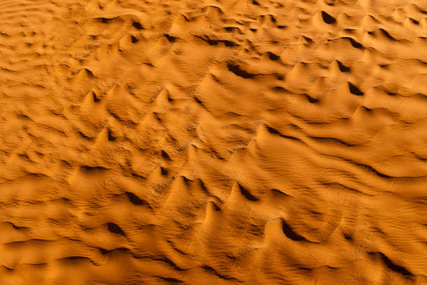 istock Beer color desert. Modern and contemporary wallpaper for interior design. Background and Texture 657407438