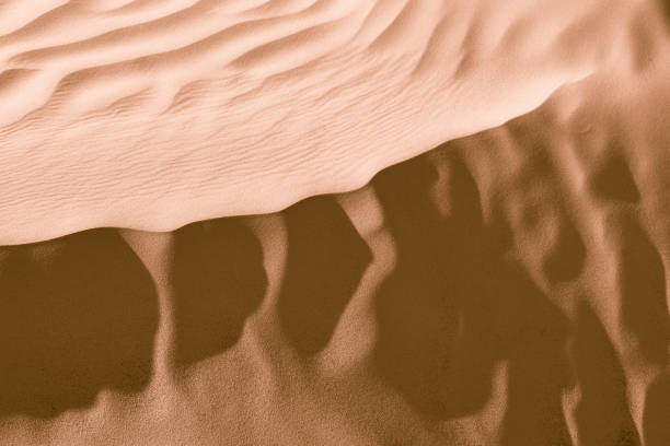 istock Camel color. Desert. Modern and contemporary wallpaper for interior design. Background and Texture 657408026