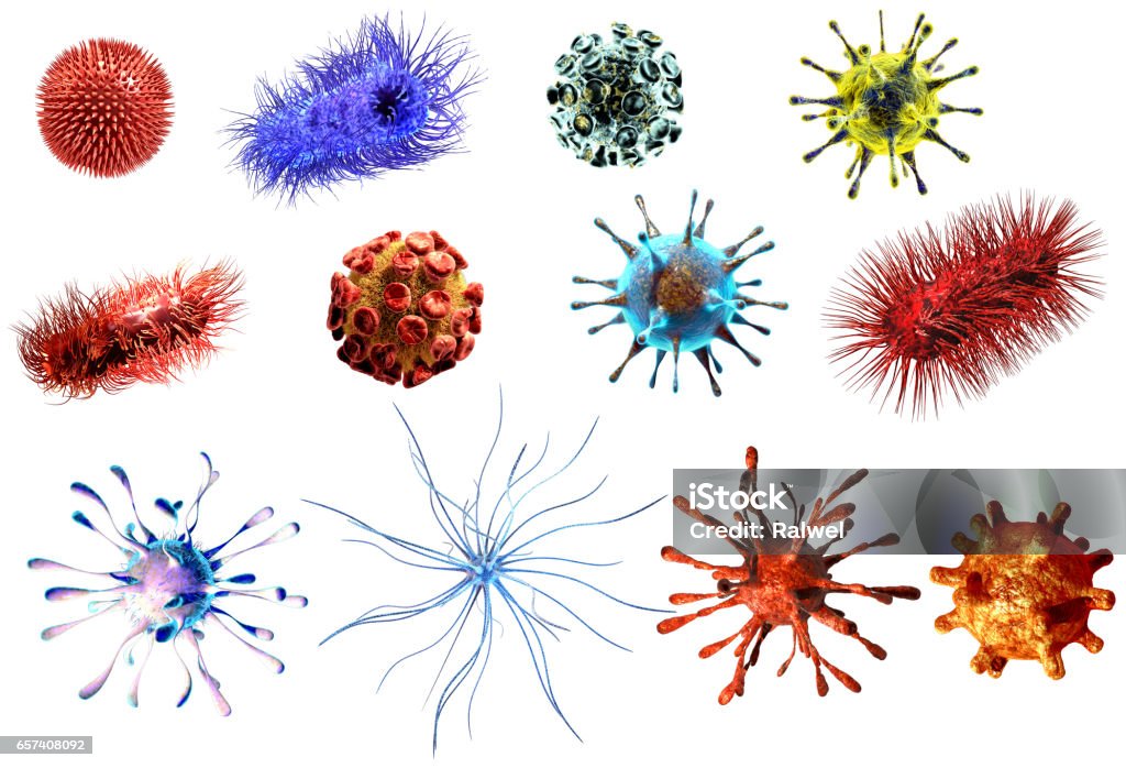 Virus and bacteria large Collection. Detailed medical illustration of viruses and bacteria isolated on white Virus and bacteria large Collection. Detailed medical illustration of viruses and bacteria isolated on white background Bacterium stock illustration