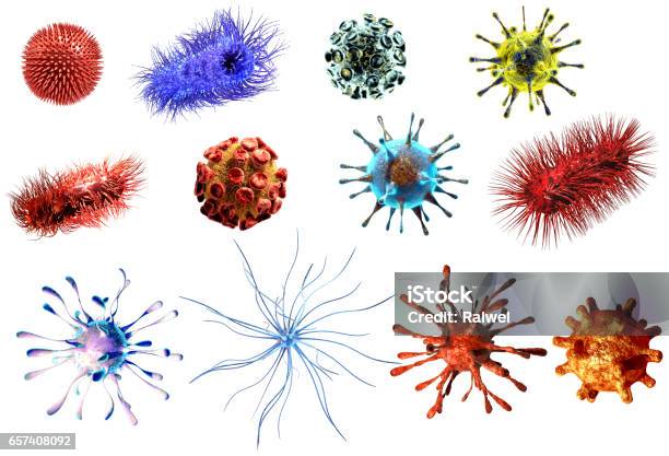 Virus And Bacteria Large Collection Detailed Medical Illustration Of Viruses And Bacteria Isolated On White Stock Illustration - Download Image Now