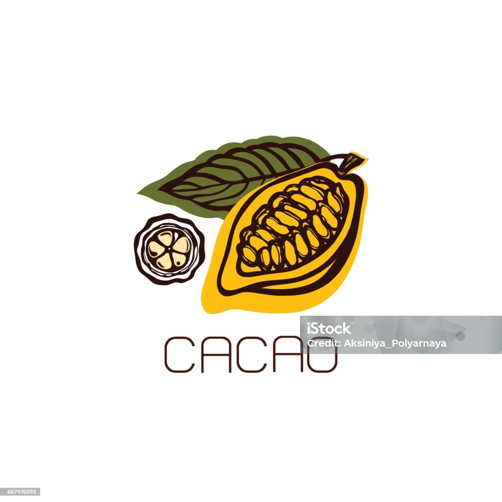 Cocoa fruit with leaves. Label, emblem, logo. Cocoa fruit with leaves. Label, emblem, logo. Isolated object on white background. Hand drawn. Vector illustration. Cacao Fruit stock vector