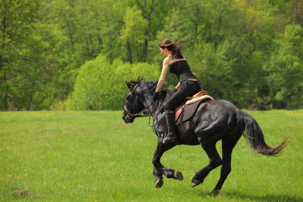 istock Girl riding horse on meadow 657415298