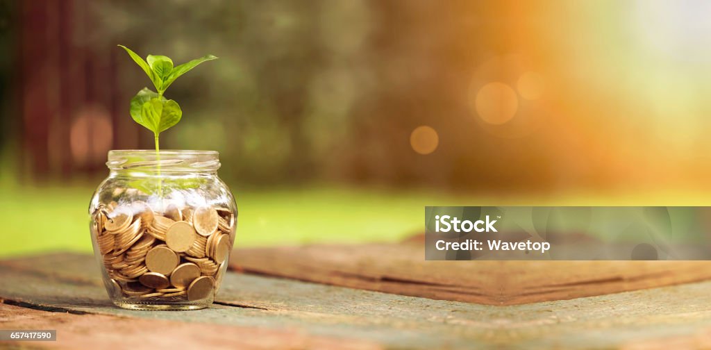 Save money banner Website banner of golden coins in a glass jar with plant Savings Stock Photo