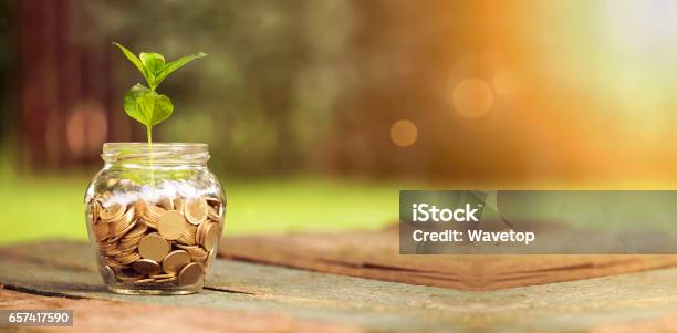 Save Money Banner Stock Photo - Download Image Now - Savings, Currency, Coin Bank