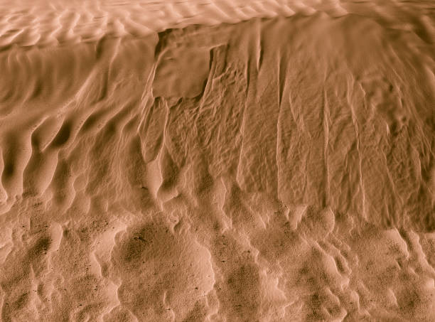 istock Camel color. Desert. Modern and contemporary wallpaper for interior design. Background and Texture 657421318