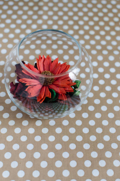 Aromatic composition for home with a transparent vase and flower