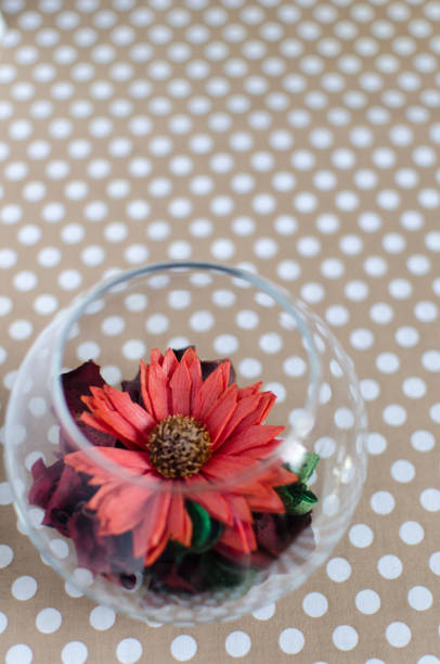 istock Aromatic composition for home with a transparent vase and flower 657425742