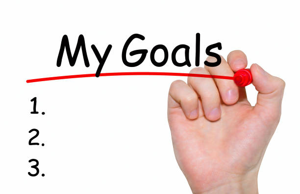 istock Hand writing inscription My Goals with marker, concept 657427838