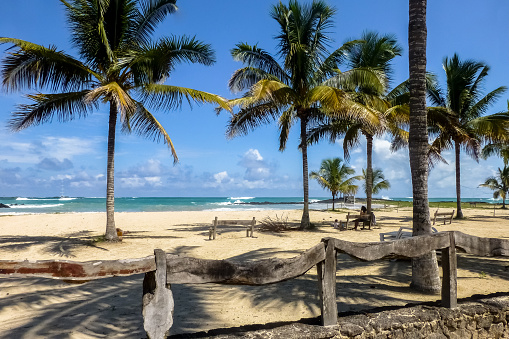 View of palm-fringed beach with blue sky on Isabela Island