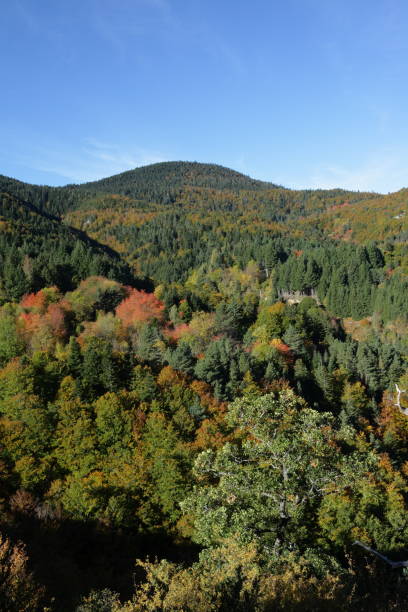 istock Autumn landscape in Pyrenees,  France 657435724