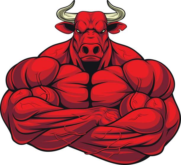 Strong ferocious bull Vector illustration of a strong healthy bull with large biceps. animal macho stock illustrations