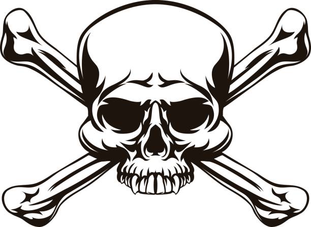 ilustraciones, imágenes clip art, dibujos animados e iconos de stock de cráneo y huesos cruzados muestra - pirate flag