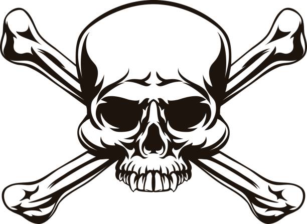 illustrazioni stock, clip art, cartoni animati e icone di tendenza di segno teschio e ossa incrociate - pirate corsair cartoon danger