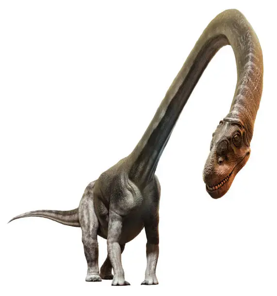 Omeisaurus from the Jurassic era 3D illustration