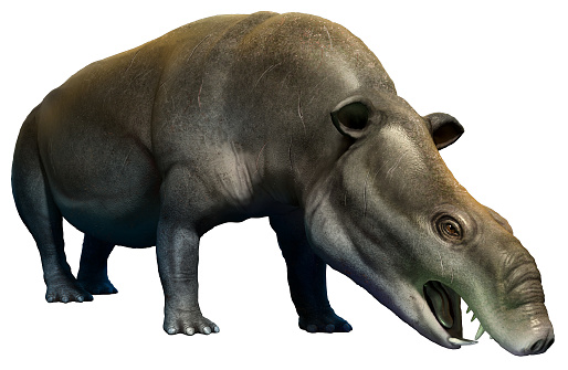 Moeritherium from the Eocene era 3D illustration