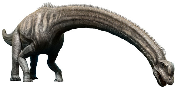 Sauroposeidon from the Cretaceous era 3D illustration