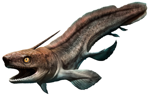 Xenacanthus from the Triassic era 3D illustration
