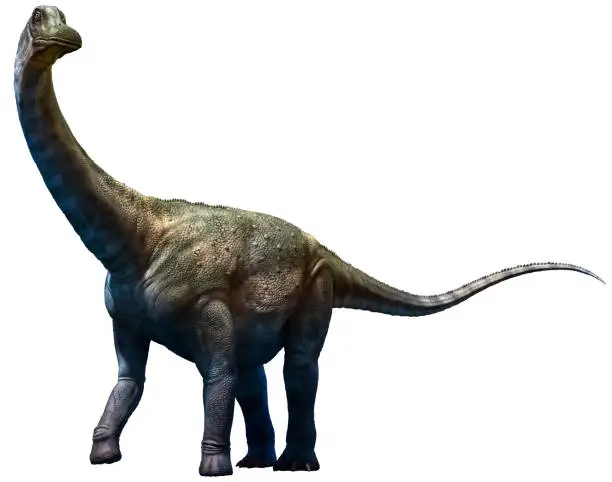 Antarctosaurus from the Cretaceous era 3D illustration