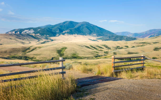 곰 치 mountans, 빨간 여관, 몬태나, 미국 언덕 - montana plain prairie mountain 뉴스 사진 이미지