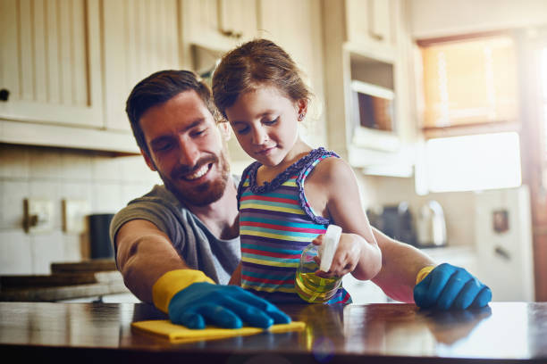 istock Clean houses make for happy homes 657488706