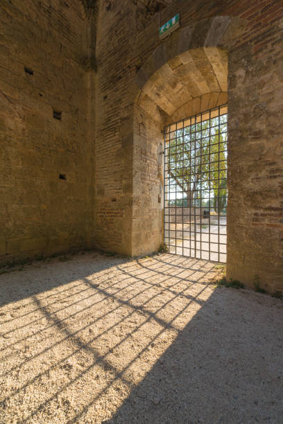 internal view of the ruins of medieval san galgano abbey near siena, italy - italy old ruin abbey basilica imagens e fotografias de stock