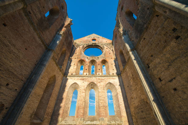 vista interna delle rovine dell'abbazia medievale di san galgano vicino a siena, italia - italy old ruin abbey basilica foto e immagini stock