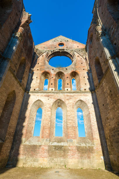 vista interna delle rovine dell'abbazia medievale di san galgano vicino a siena, italia - italy old ruin abbey basilica foto e immagini stock