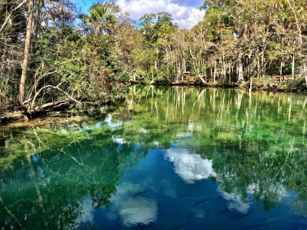 Florida: With Nature's Springs and Sinkholes is a Diver's Paradise