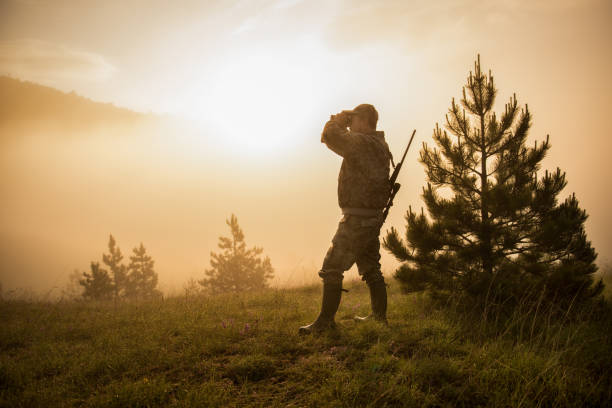 Hunter in the nature Portrait of hunter with rifle and binoculars in the forest. Bright sunlight is in the background. hunting sport stock pictures, royalty-free photos & images