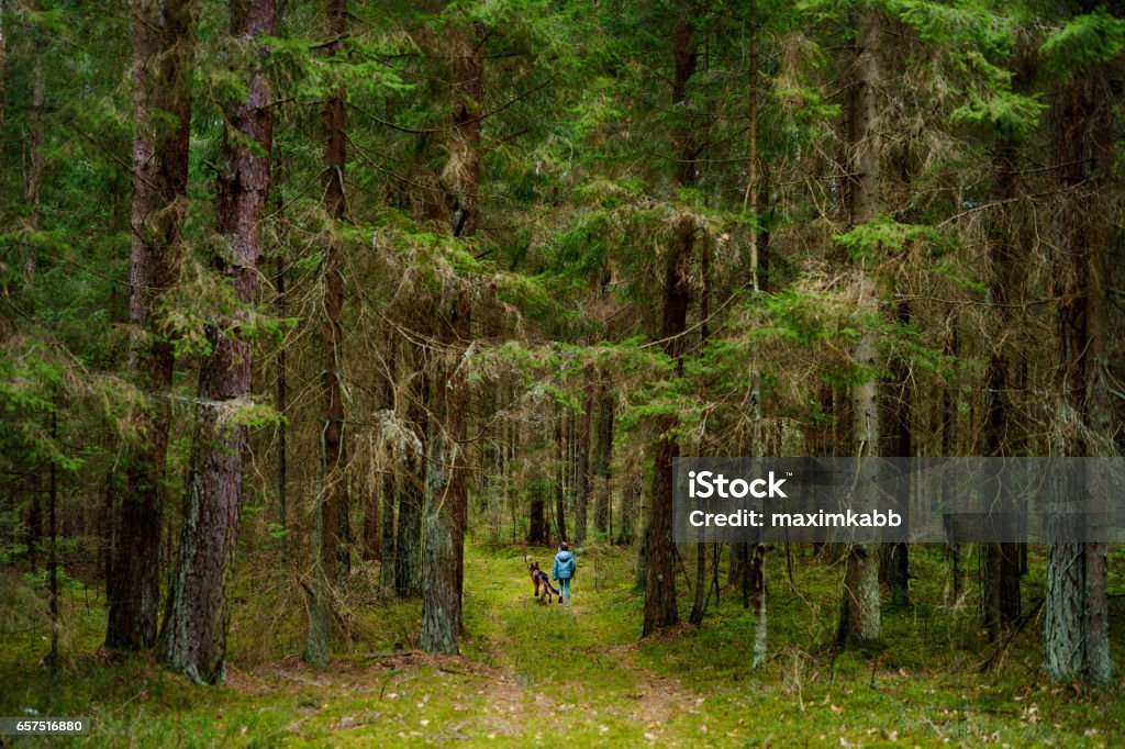 Little girl and her big dog taking a walk in a dark forest Little girl and her big dog taking a walk in a deep dark forest Forest Stock Photo