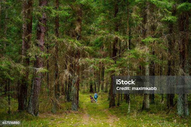 Little Girl And Her Big Dog Taking A Walk In A Dark Forest Stock Photo - Download Image Now