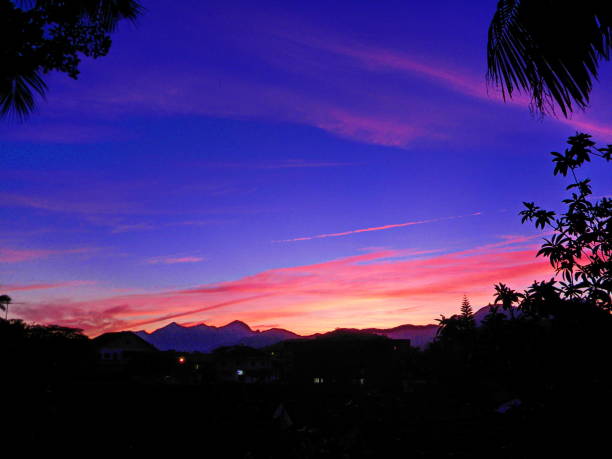 istock Colorful Evening in Joinville 657523884
