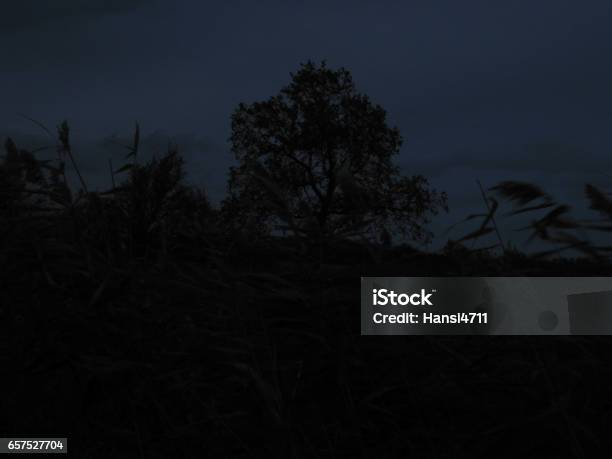 Areas On Fields And Meadows In Northern Germany Stock Photo - Download Image Now - Atmosphere, Autumn, Bright