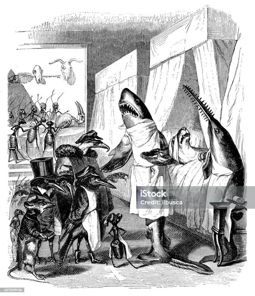Humanized animals illustrations: Shark doctor Old-fashioned stock illustration