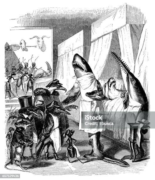 Humanized Animals Illustrations Shark Doctor Stock Illustration - Download Image Now - Old-fashioned, Retro Style, Archival