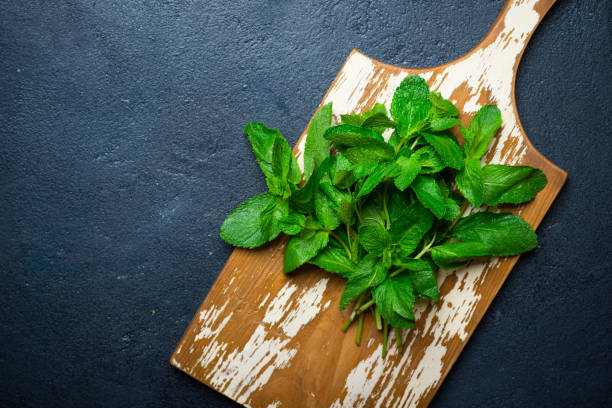 istock Bunch of fresh mint leaves 657536476