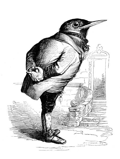 8,020 Cartoon Of The Crazy Bird Illustrations & Clip Art - iStock