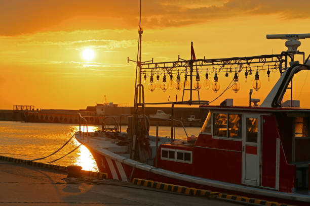istock Sunset and Harbor fishing 657543670