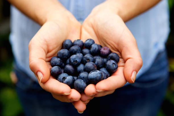 istock Handful of fresh blueberries 657546838