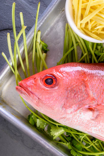 Fresh Red Snapper
