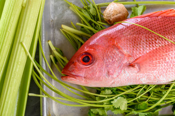 Fresh Red Snapper