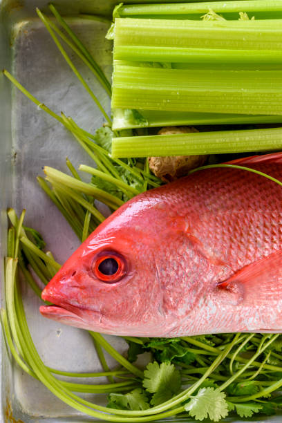 Fresh Red Snapper